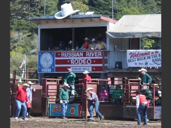 Rodeo draws a crowd in Sonoma County
